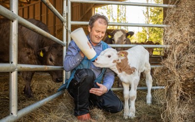 Thomas Snellman står på knä och matar en kalv med en mjölkflaska.