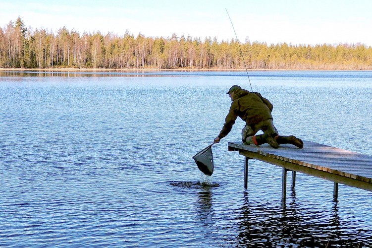 Stipik-järvi. Laiturilla seisoo henkilö polvillaan, kädessä on haavi.