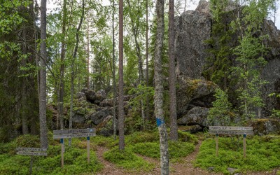 Ett stort flyttblock i skogen, Lostenen i Purmo.