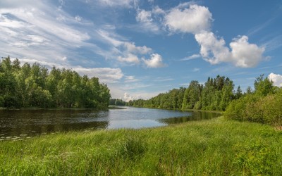 Esse å som kantas av vass och träd.