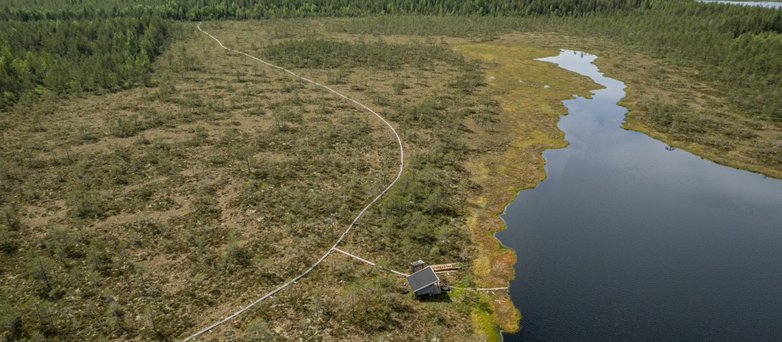 Drönarfoto över Gäddsjön. Man ser sjön, spångarna över myren, och myren.