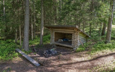 En grillplats med bänkar i skogen.