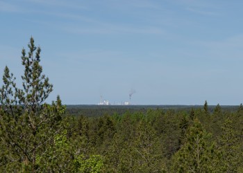 Utsikt från utsiktstornet. Långt borta bakom trädranden syns UPM-fabrikens skorstenar.