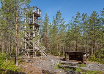 Korkea, puusta rakennettu näkötorni ja sen alla grillipaikka metsässä.