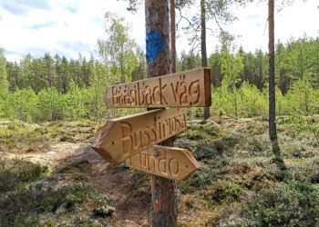 Tre skyltar uppspikade på trädstam. Test: Bååsiback väg, Bussimosa, Rundo.