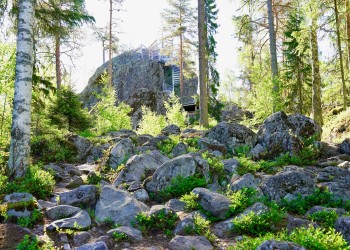 Lostenen omgiven av skog.