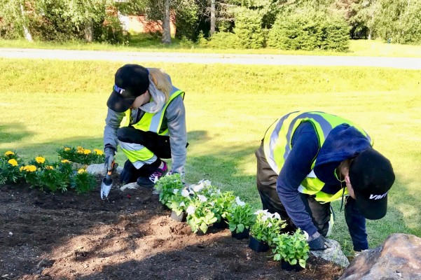 Två ungdomar planterar sommarblommor i en stor rabatt.