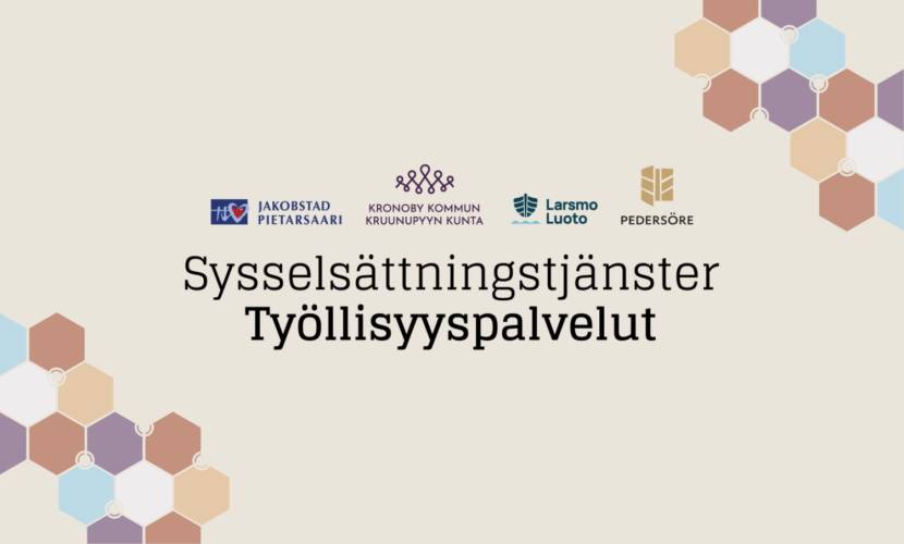 Pietarsaaren seudun työllisyysalueen graafinen profiili mukaan lukien logo ja graafiset elementit.