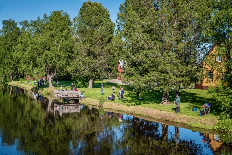En stämningsfull sommarbild. Folk metar vid Esse å i Kållby.
