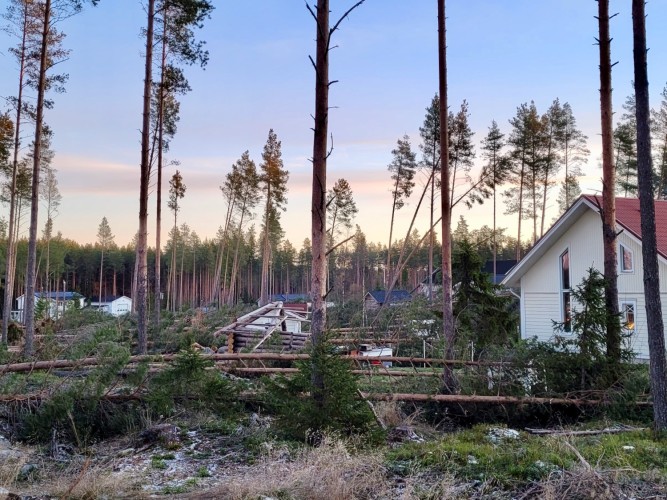 Ett bostadsområde med stormfällda träd. Ett skadat tak på en lada, gavlen av ett bostadshus.