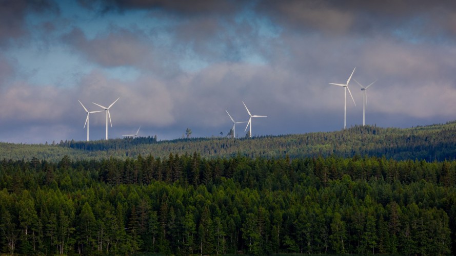 Vindkraftverk i en skog, på avstånd.