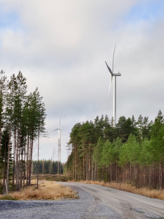 Ett vindkraftverk som står intill en grusväg. Vindkraftverket når högt över trädtopparna.