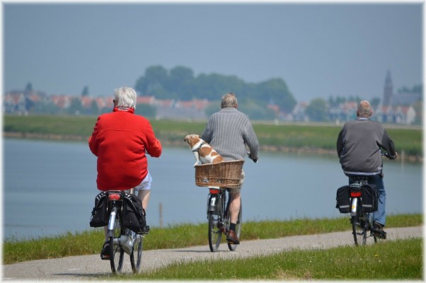 Kolme henkilöä pyöräilee järven rannalla.