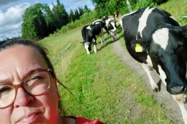 Nainen ottaa selfien, taustalla näkyy lehmiä.