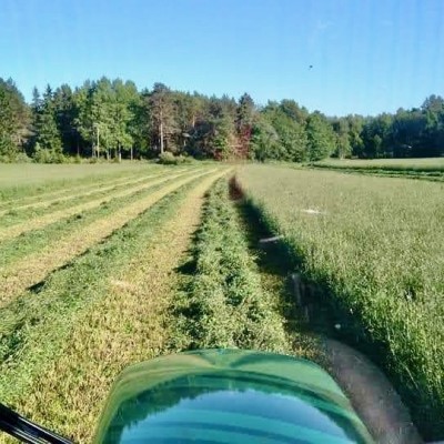 Ett fält med gräs. På fotot syns framändan på en traktor.