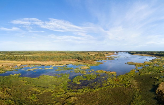 Dronekuva Sandsundfjärdenistä. Lahden ympärillä näkyy vettä ja kasvillisuutta.