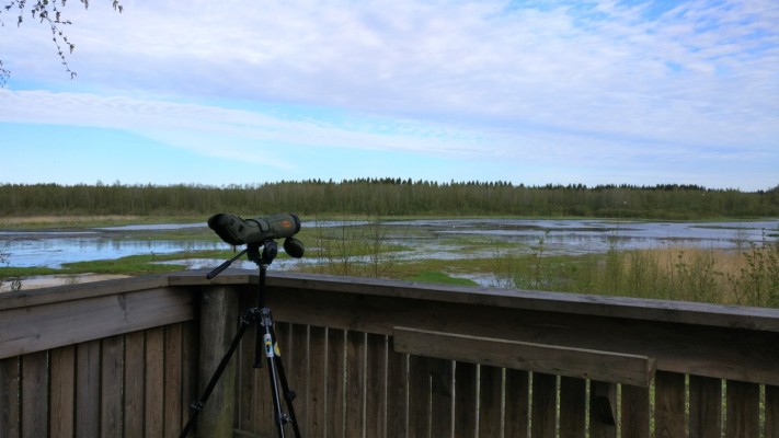 Lintutornissa on lintukaukoputki. Taustalla näkyy vettä.