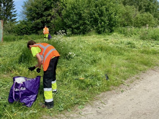 Två ungdomar klädda i orange reflexvästar går i högt gräs. Det är sommar. De plockar växter.