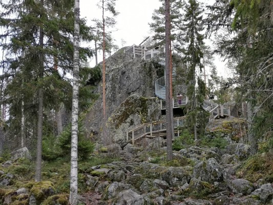 Lostenen, ett stort flyttblock, i skogen.