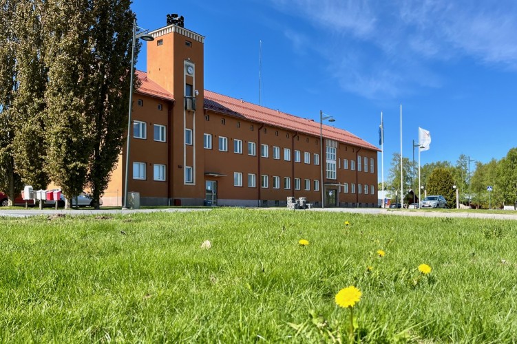 En gräsmatta med maskrosor. I bakgrunden syns kommungården.