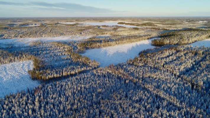 Lennokkikuva Lappforsista, jossa näkyy metsä ja järvi.