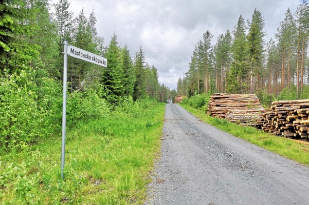 Mastbacka skogsväg, en skylt i skogen och en grusväg.