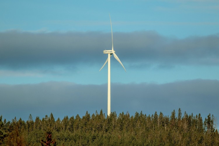 Ett vindkraftverk i en skog.