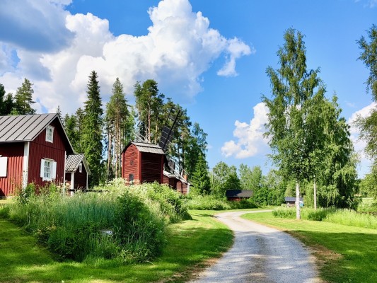 Ålidens hembygdsmuseums område. En grusväg, en gammal kvarn, en gammal byggnad och björkar.